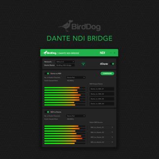 BirdDog Dante NDI Bridge Aggiornamento Inglese