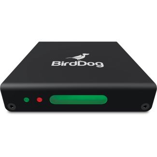 BirdDog MINI Convertitore video attivo