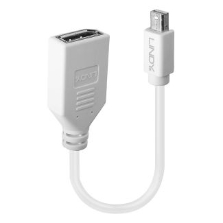 Lindy 0.20m Mini DisplayPort to DisplayPort Adapter Cable