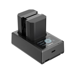 SmallRig 3824 carica batterie Batteria per fotocamera digitale USB