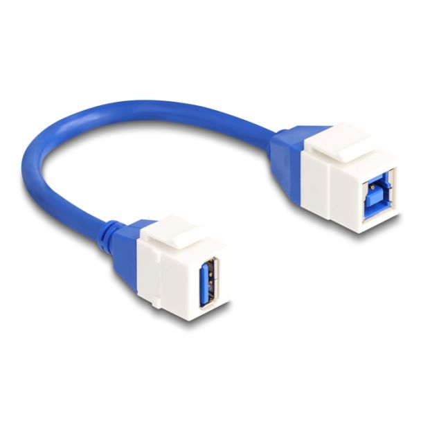 DeLOCK Keystone Module Cable USB 5 Gbps Type-A female to USB Type-B female 20 cm blue