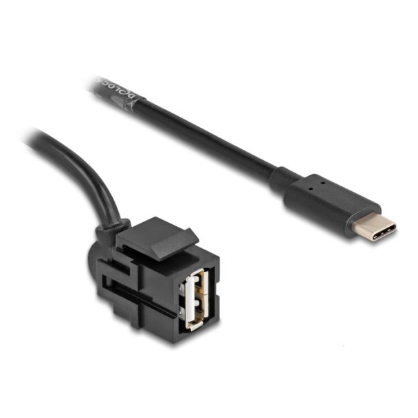 DeLOCK Modulo Keystone USB 2.0 A femmina > USB Type-C maschio 250° con cavo 1,5 m