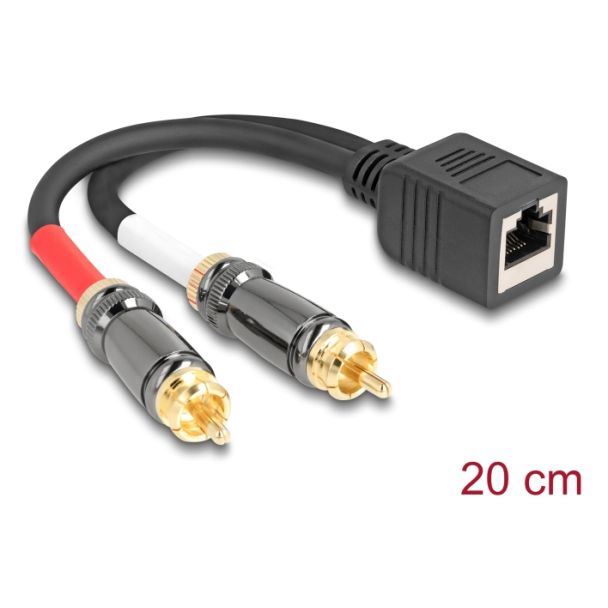 DeLOCK 88172 cavo audio 0,2 m RJ-45 2 x RCA Nero