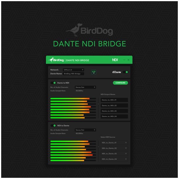 BirdDog Dante NDI Bridge Aggiornamento Inglese