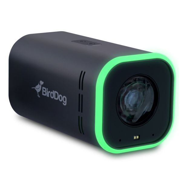 BirdDog Maki Ultra 4K 20x Scatola Telecamera di sicurezza IP Esterno 3840 x 2160 Pixel Parete