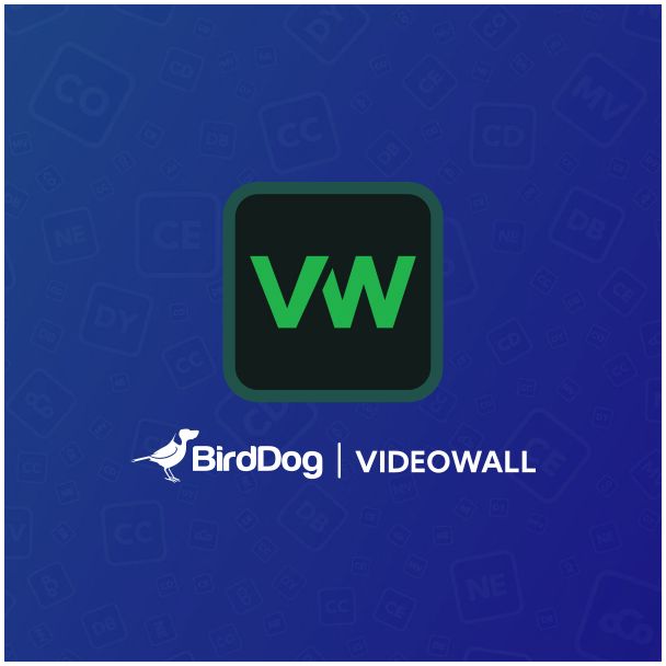 BirdDog VIDEOWALL Gestione del video wall Commerciale 1 licenza/e