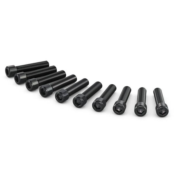 Blackmagic Design BMUMCAPRO/MSCRB4 screw/bolt 10 pc(s)