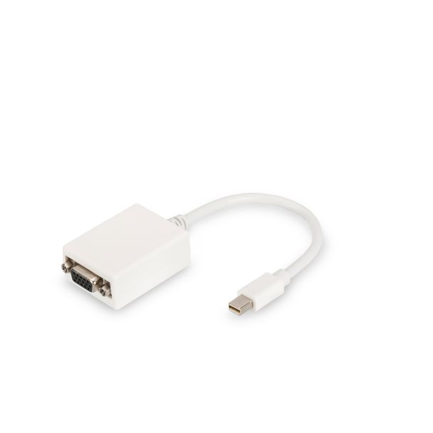 Digitus Cavo adattatore DisplayPort