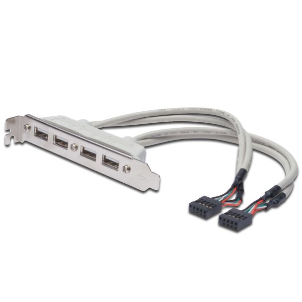 Digitus Cavo Staffa Slot USB