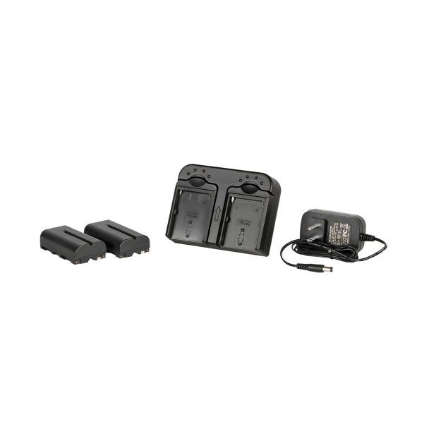 ikan DV-DUAL-S550 Batteria per fotocamera/videocamera Ioni di Litio 2900 mAh