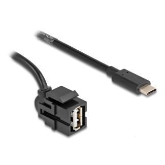 DeLOCK Modulo Keystone USB 2.0 A femmina > USB Type-C maschio 250° con cavo 1,5 m