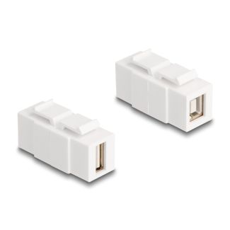 DeLOCK Modulo Keystone USB 2.0 Tipo-A femmina per USB 2.0 Tipo-B femmina installabile su entrambi i lati bianco