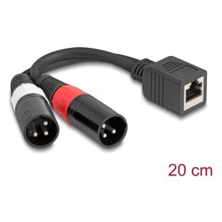 DeLOCK 88179 cavo audio 0,2 m RJ-45 2 x XLR (3-pin) Nero