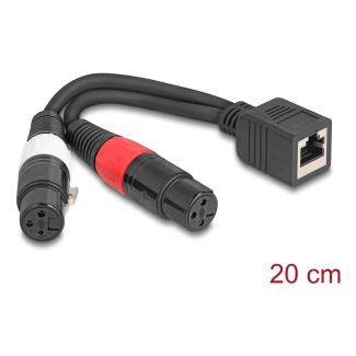 DeLOCK 88178 cavo audio 0,2 m RJ-45 2 x XLR (3-pin) Nero