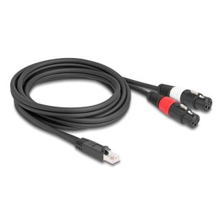 DeLOCK 88176 cavo audio 2 m RJ-45 2 x XLR (3-pin) Nero